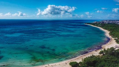 Quintana Roo es el 'destino más atractivo del mundo', asegura Lezama