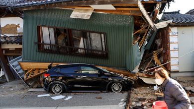 Videos | Suman 24 muertos por terremoto en Japón