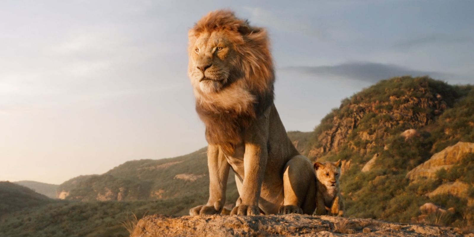 Cómo la precuela del Rey León cambiará a Mufasa, provocado por la estrella de cine de Disney