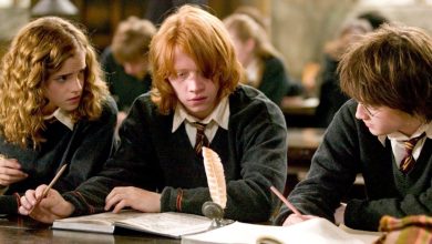 Cuándo el programa de Harry Potter de Max se decidirá por un escritor revelado en un nuevo informe