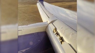 Falló otro avión Boeing; desviaron vuelo por problemas en una ala | Video