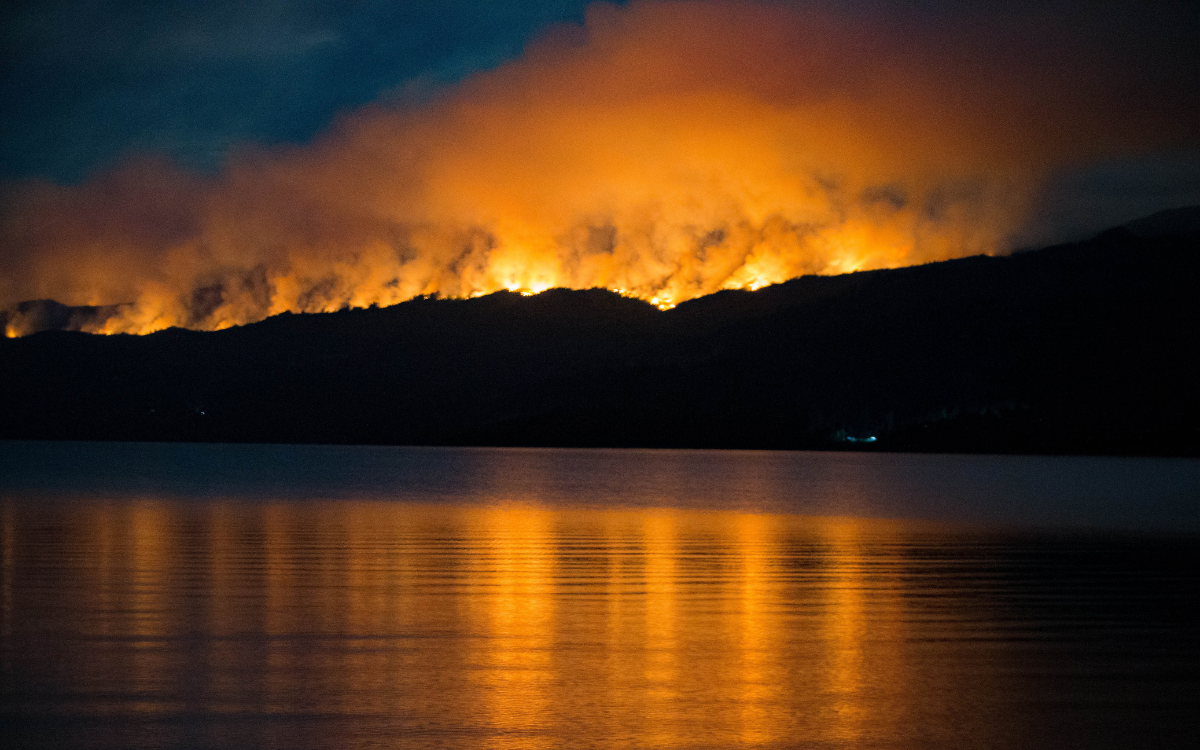 Incendio en un parque de la Patagonia argentina arrasa con más de 2 mil hectáreas | Video