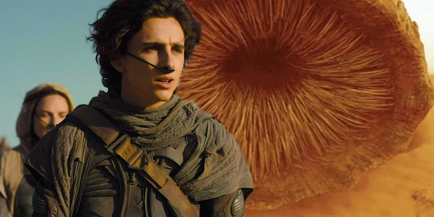La "Unidad de gusanos" de Dune 2 y cómo ayudó a filmar escenas de montar gusanos de arena explicadas por el director