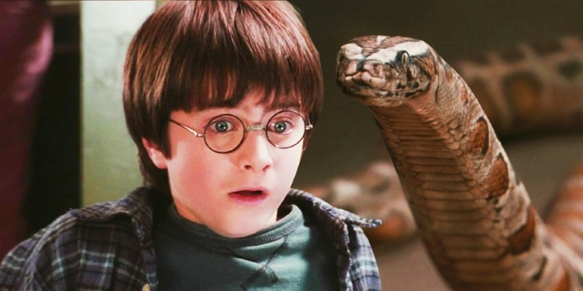 La interacción de la serpiente de Harry Potter en la primera película genera un análisis por parte de un experto