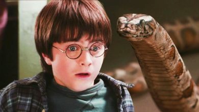 La interacción de la serpiente de Harry Potter en la primera película genera un análisis por parte de un experto