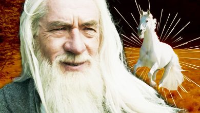 La verdadera razón por la que Shadowfax de Gandalf es tan rápido en El señor de los anillos