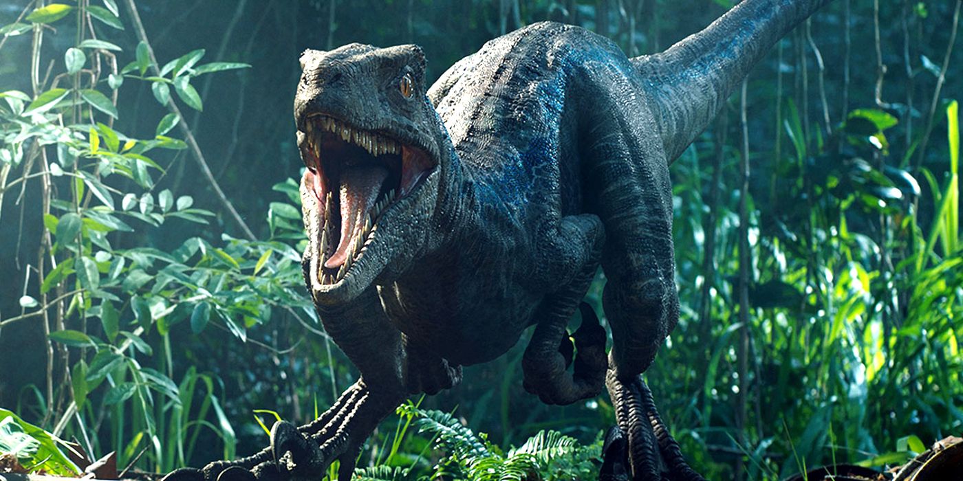 Las conversaciones con el director de Jurassic World 4 fracasan, la búsqueda continúa mientras la secuela apunta al lanzamiento en el verano de 2025