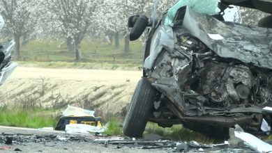 Mueren 8 personas en accidente automovilístico en California; hay mexicanos involucrados
