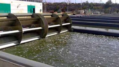 Regar cultivos con aguas residuales tratadas, una solución a la sequía: UNAM