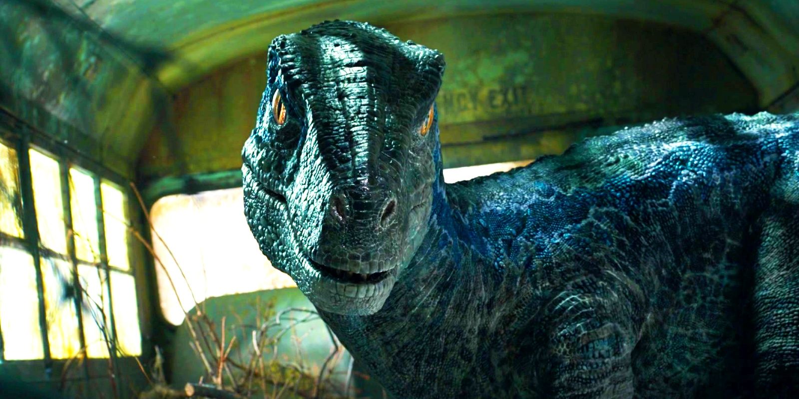 Se informa que se revela la fecha de inicio de la filmación de Jurassic World 4 mientras la secuela avanza hasta la fecha de lanzamiento de 2025