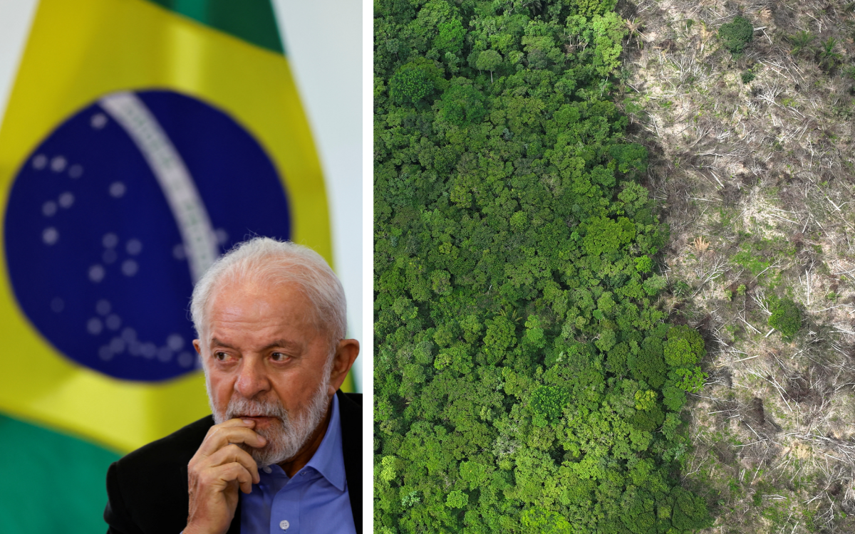 Brasil: la lucha del gobierno de Lula da Silva contra la deforestación está dando frutos