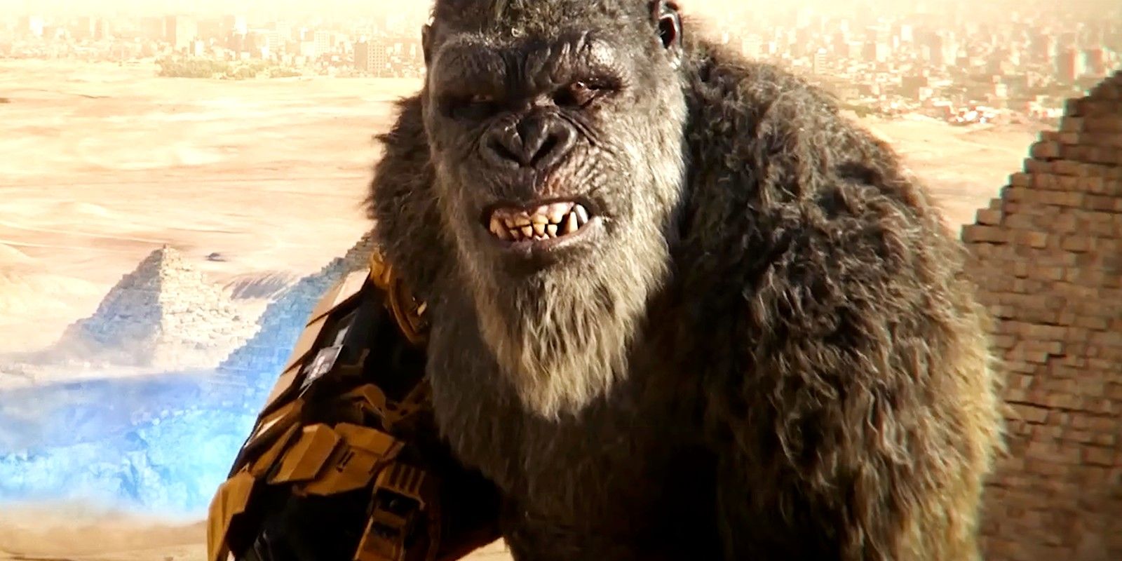 Cómo el final de Godzilla x Kong culmina el viaje de Kong explicado por el director de New Empire