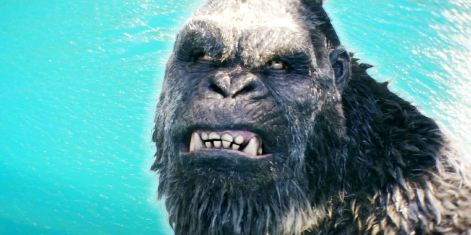 El tráiler de Godzilla x Kong muestra los orígenes de la lesión de Kong mientras lucha contra Skar King