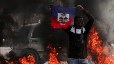 La OEA expresa "profunda preocupación" por la seguridad en Haití