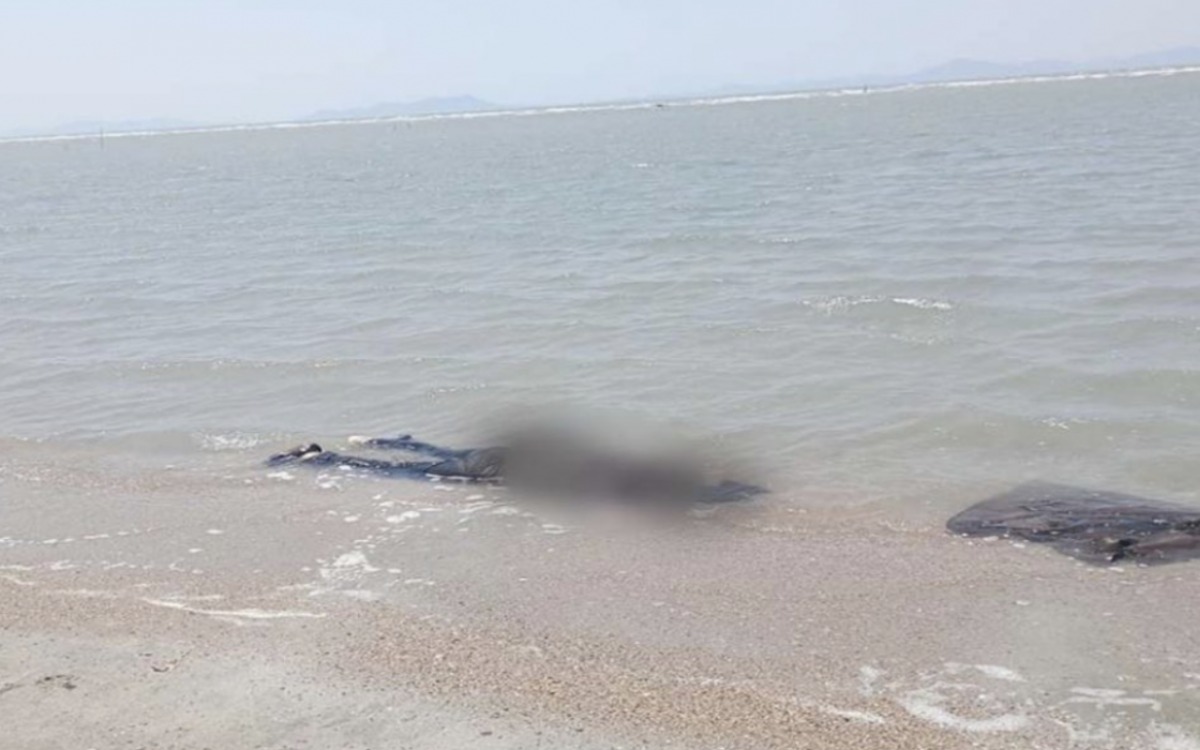 Los 8 cuerpos hallados en playa de Oaxaca son de migrantes chinos: Fiscalía de Oaxaca