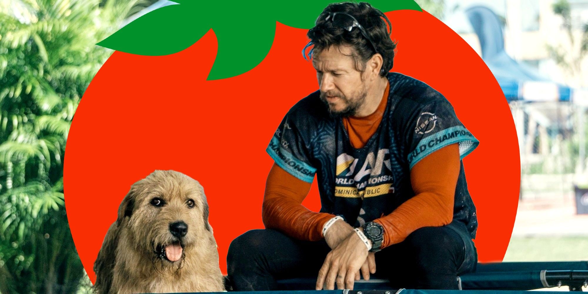 Mark Wahlberg rompe la racha de pobres tomates podridos con una nueva película dramática