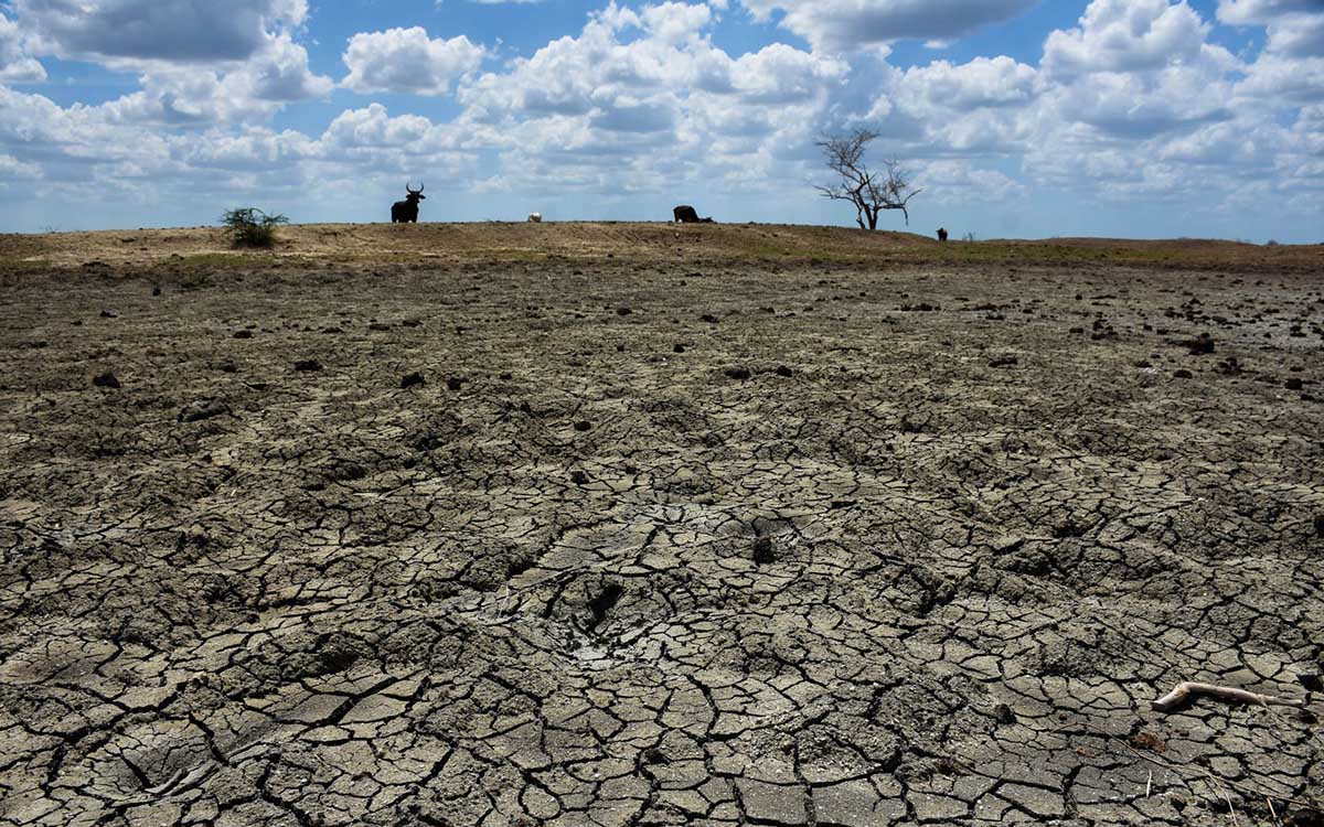 México llega al Día Mundial del Agua en medio de una sequía severa y un debate del día cero