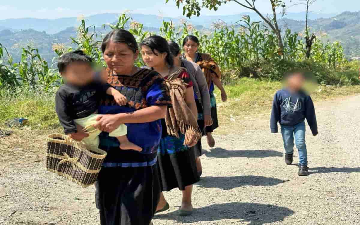 Pueblo indígena de Pantelhó, Chiapas, no participará en elecciones de 2024