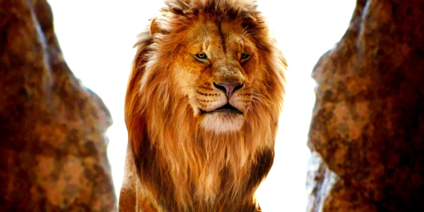 La imagen de la precuela del Rey León muestra al joven Mufasa mirando las tierras del orgullo en acción real
