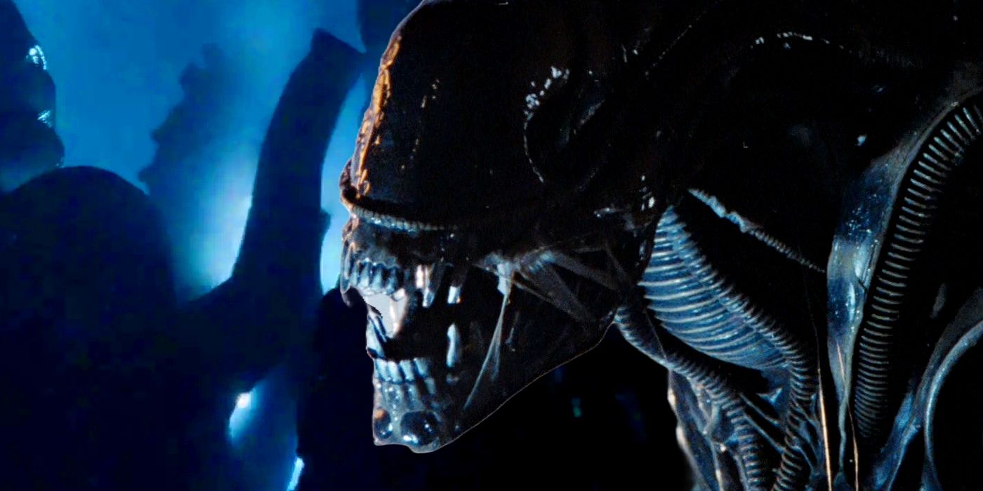 La serie Alien elige a la estrella de la Fundación como un empleado importante de Weyland-Yutani mientras continúa la filmación