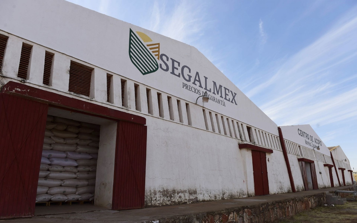 Caso Segalmex | INAI solicita a Función Pública documentación que sustente que desvío fue de 6 mil 500 mdp, no 15 mil mdp