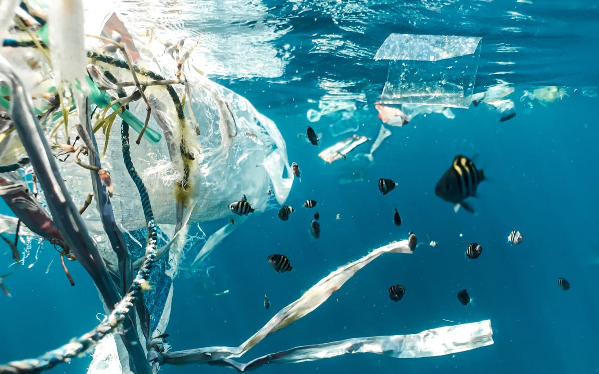 ¿Sabías que en el fondo del océano hay hasta 11 millones de toneladas de plástico?