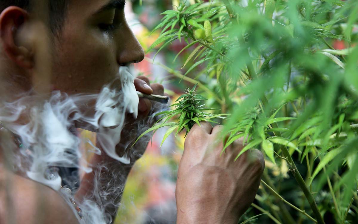 Estados Unidos dará histórico paso al clasificar la marihuana como una droga de bajo riesgo
