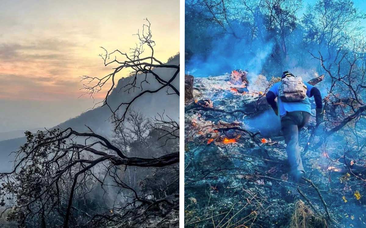 Piden ayuda urgente para combatir incendio que ha afectado más de 10 mil hectáreas en Mitla, Oaxaca
