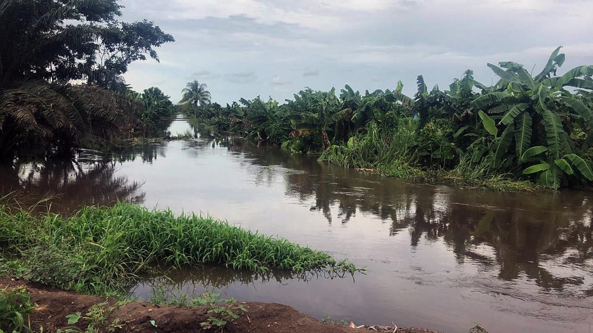 Chiapas | Agricultores sufren afectaciones a cultivos y urgen declarar un desastre por lluvias