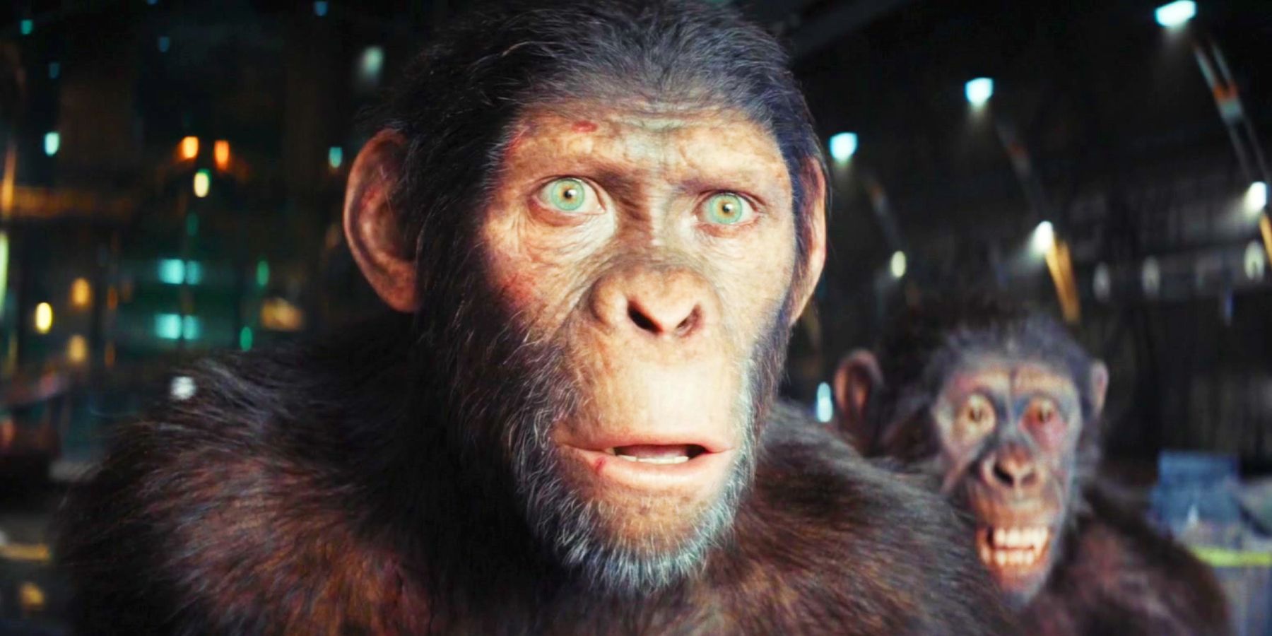 Kingdom Of The Planet Of The Apes domina las listas de VOD tras recaudar 396 millones de dólares en taquilla