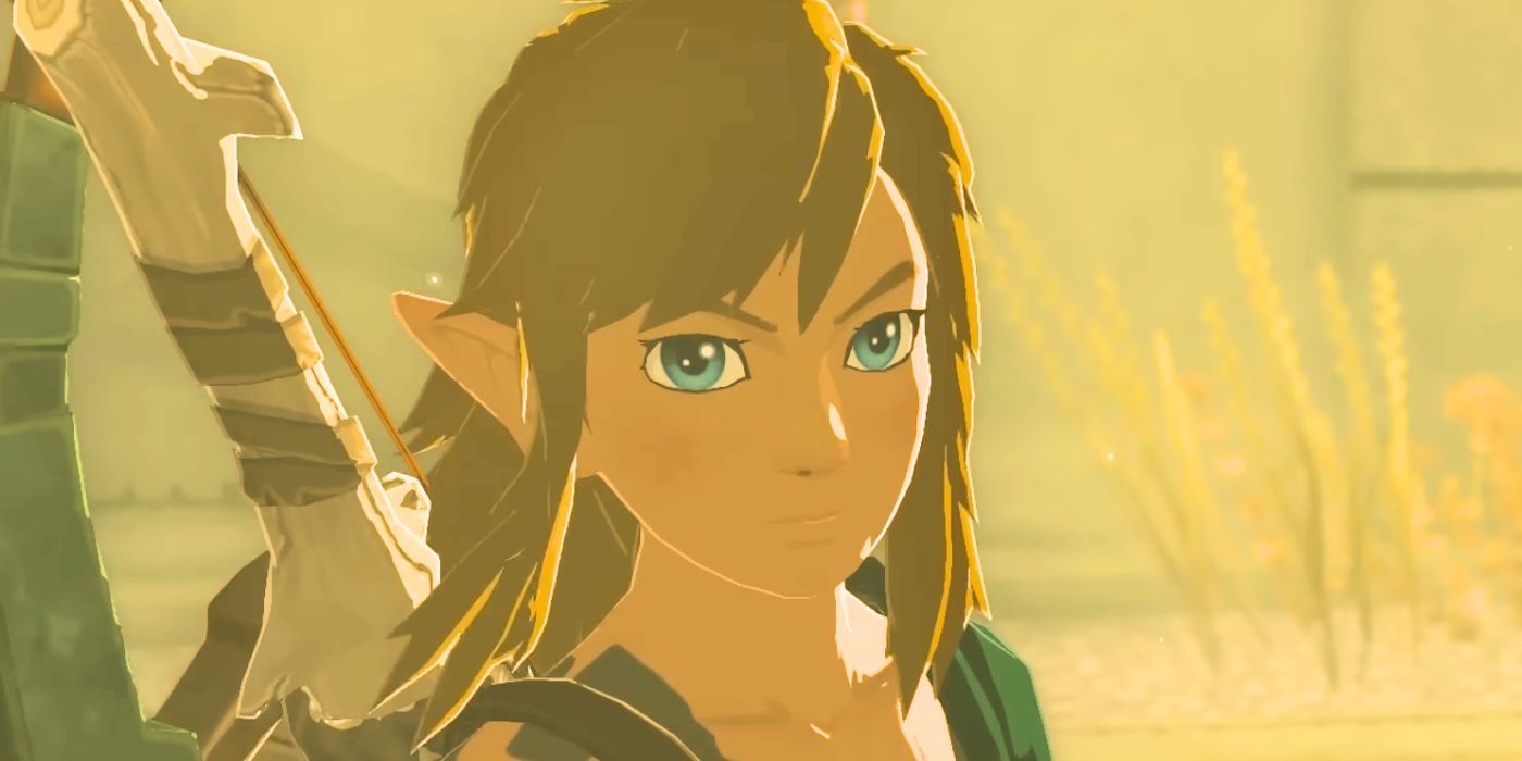¿Qué edad tiene Link en Zelda: Tears Of The Kingdom?