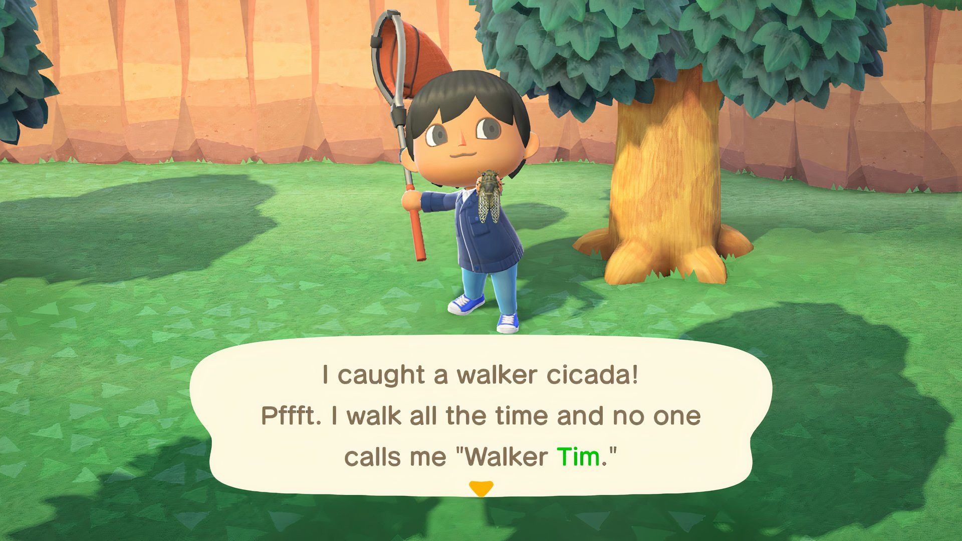 Jugador masculino muestra una cigarra caminante en Animal Crossing New Horizons