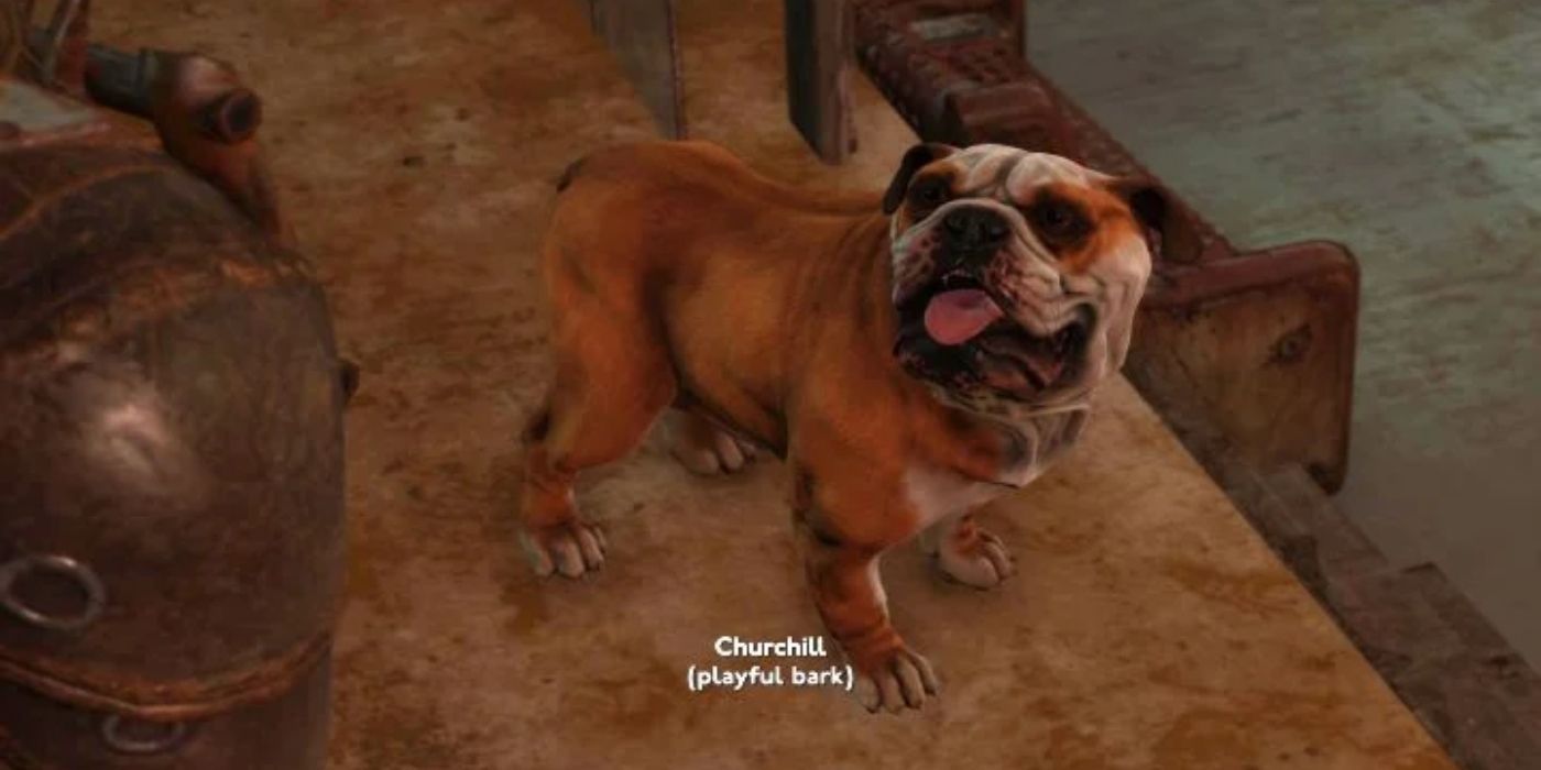 Churchill, el bulldog, ladra juguetonamente en Fallout London