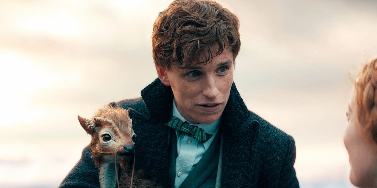 Eddie Redmayne volverá como Newt Scamander de Animales fantásticos y se revela nueva imagen del universo épico de Harry Potter