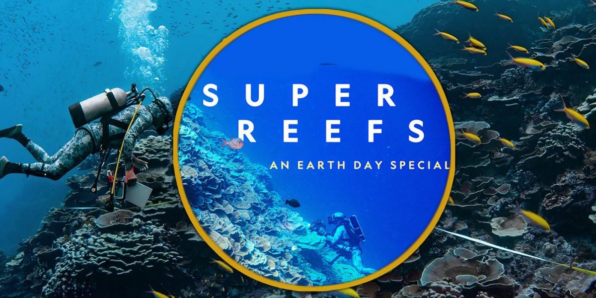 Escuche música de los Super Arrecifes de National Geographic con imágenes de la sesión detrás de escena