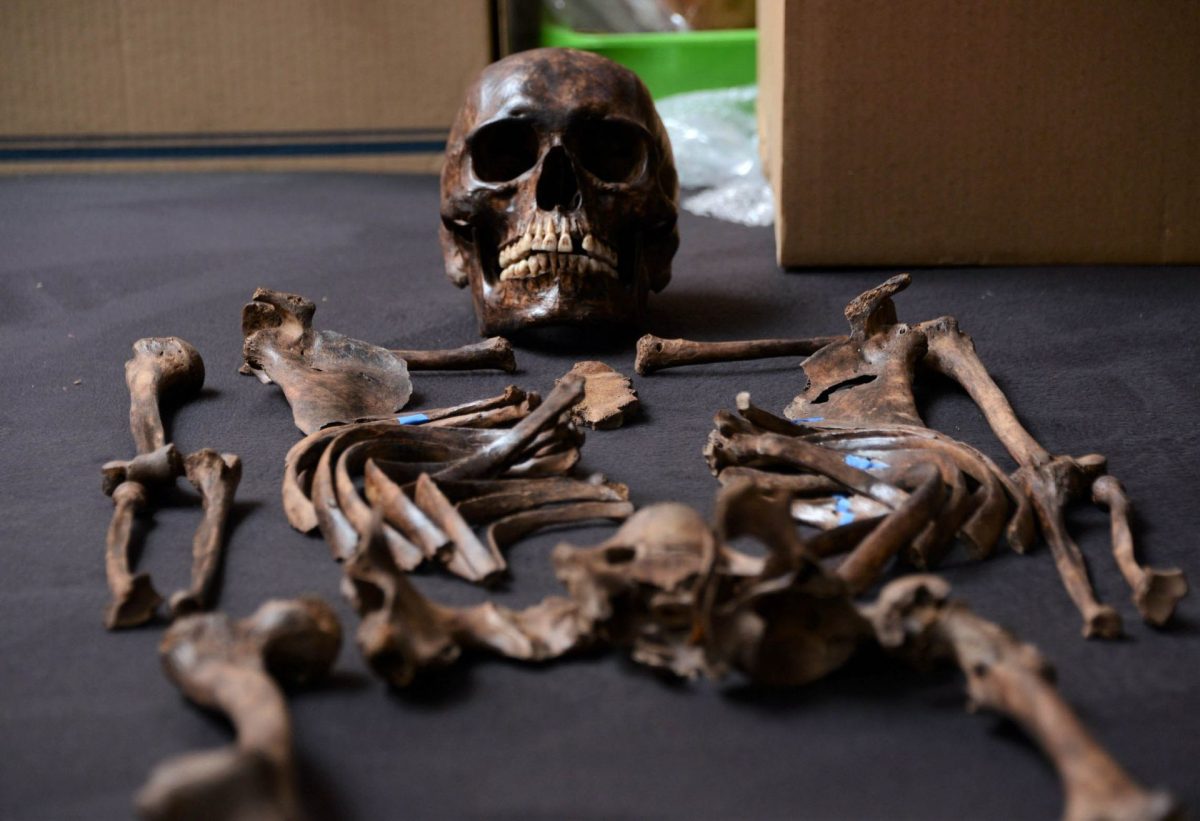Restos humanos hallados en el AIFA revelan huellas de vida prehispánica