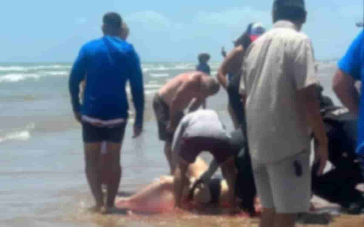 Video | Tiburón ataca a personas en Isla del Padre, Texas