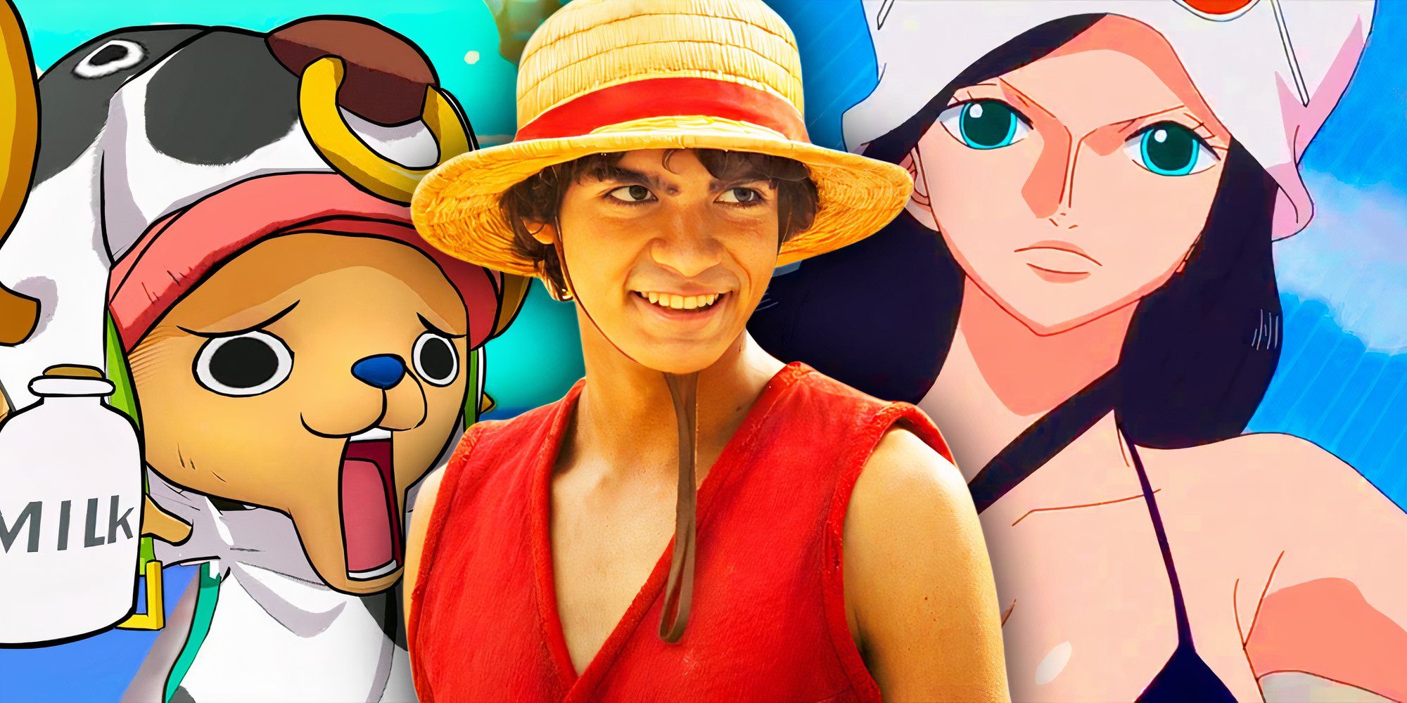 El fancast más popular de One Piece no se llevará a cabo oficialmente (pero la elección de Netflix sigue siendo perfecta)