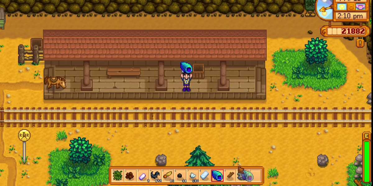 Cómo conseguir una concha arcoíris en Stardew Valley