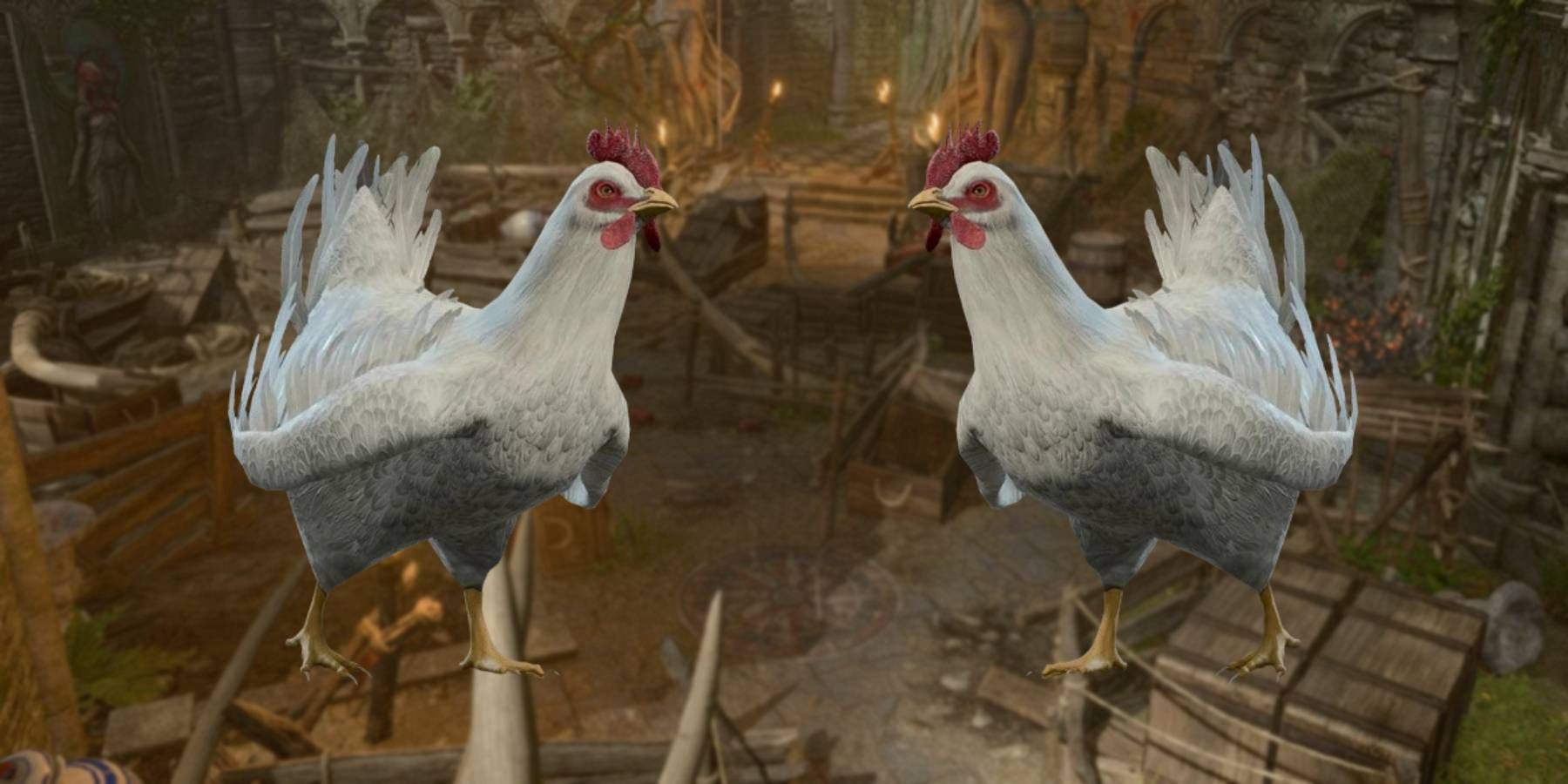 Cómo vencer la persecución de gallinas en el campamento de duendes en Baldur’s Gate 3