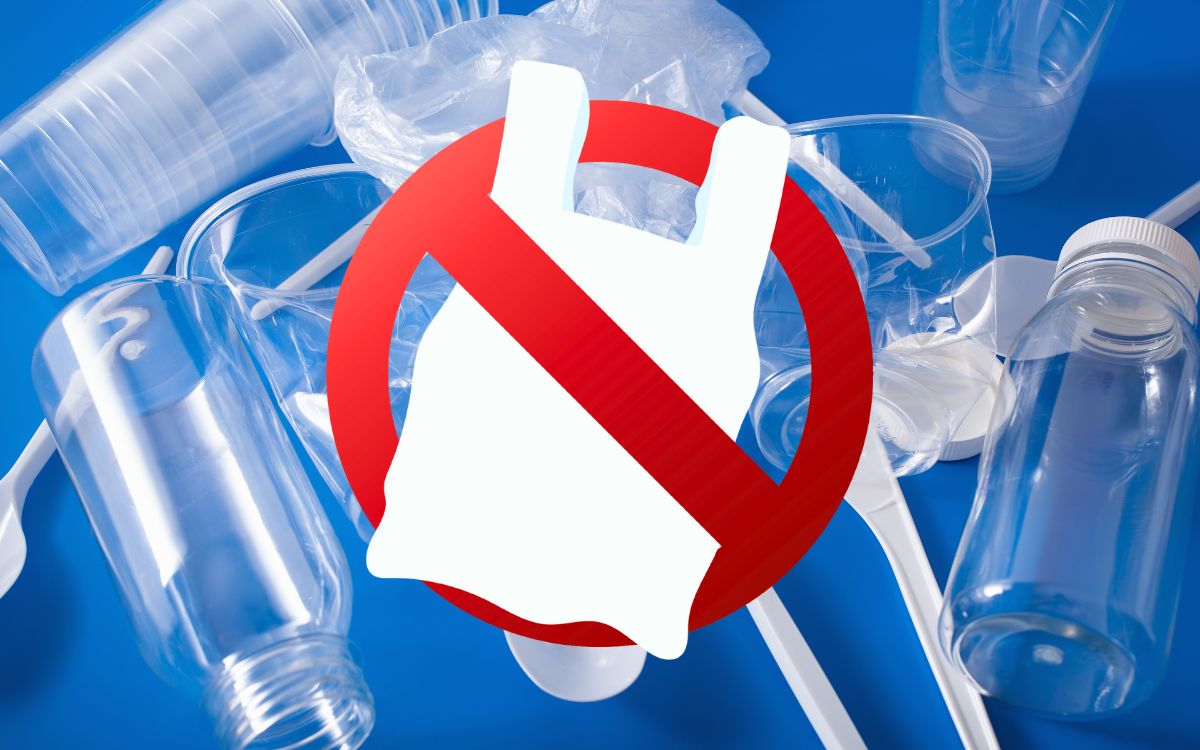 Congreso deberá prohibir plásticos de un solo uso a nivel nacional: Tribunal