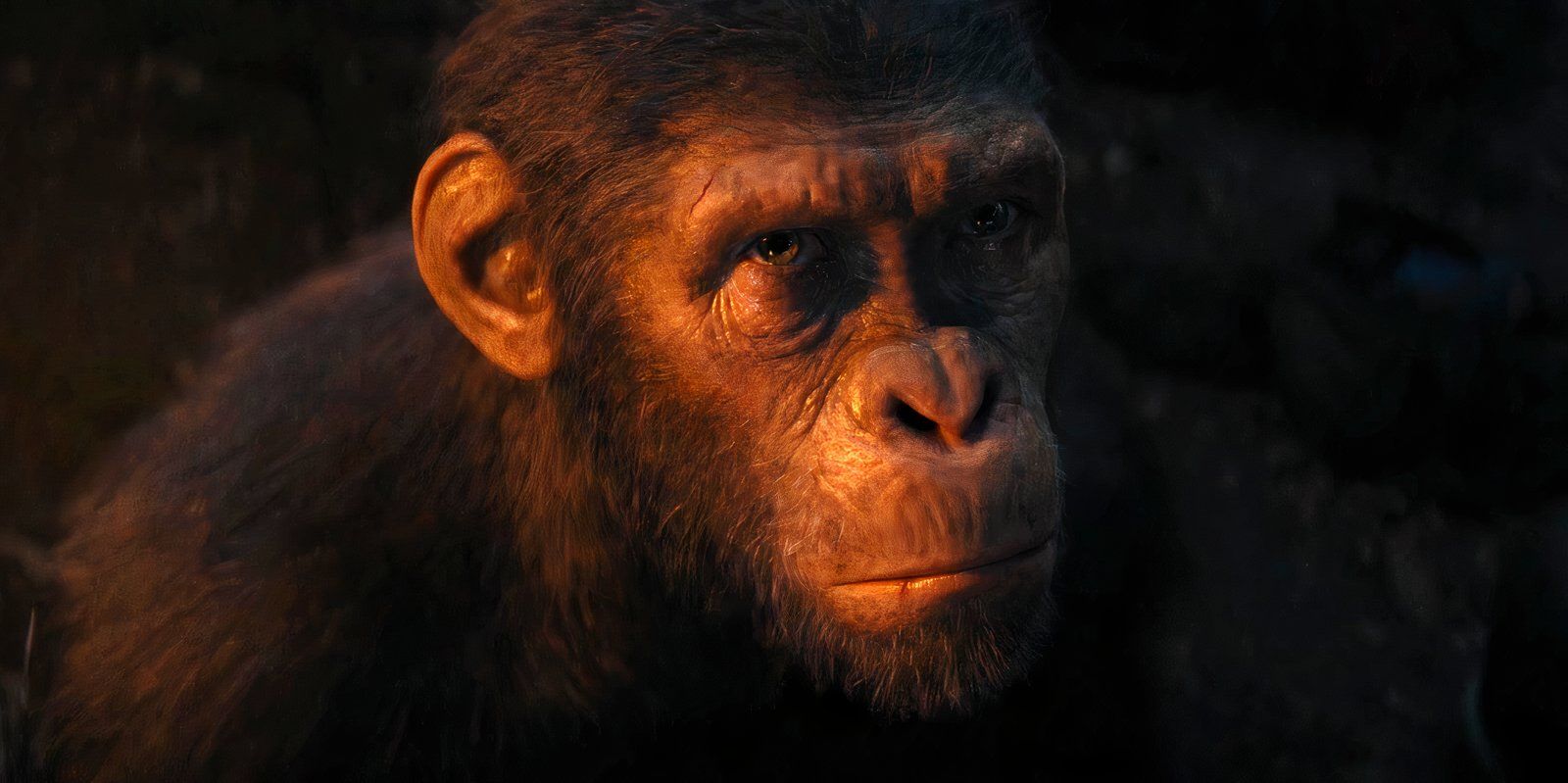 La trilogía secuela de Kingdom of the Planet of the Apes parece confirmada según un nuevo informe de taquilla