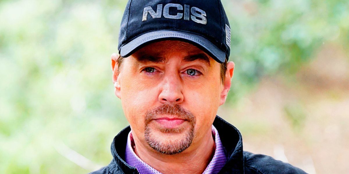 Un informe de la temporada 22 de NCIS sugiere un posible nuevo trabajo de McGee que cambiaría la serie