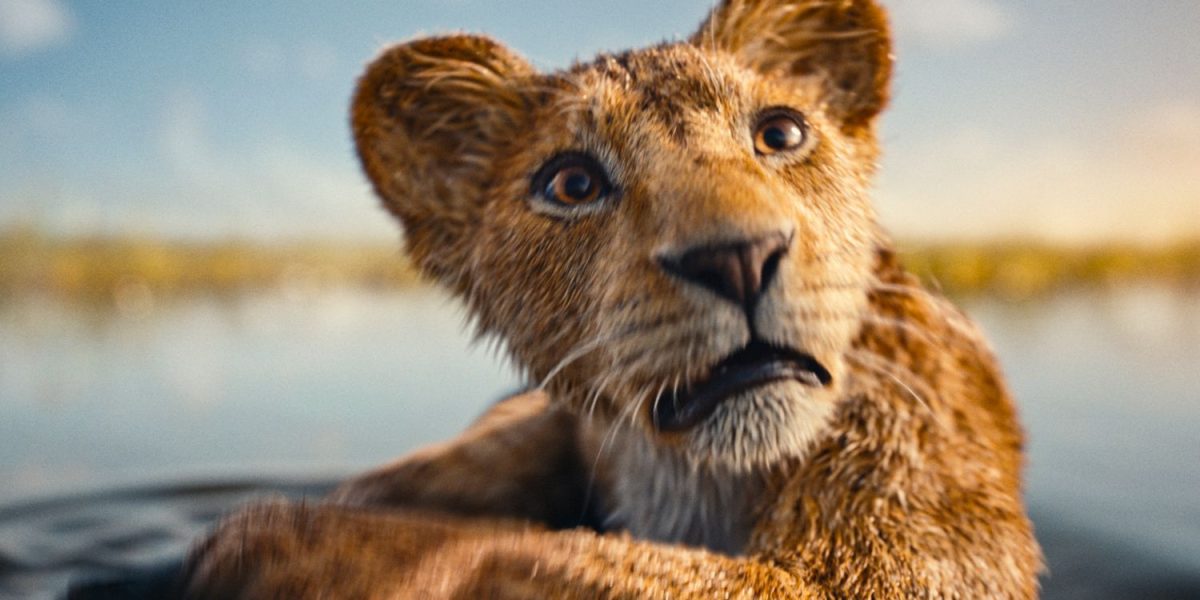 “Un pivote tan fuerte”: la nueva “estética” CGI de Mufasa deja a los artistas de efectos visuales mezclados en comparación con el Rey León de acción real