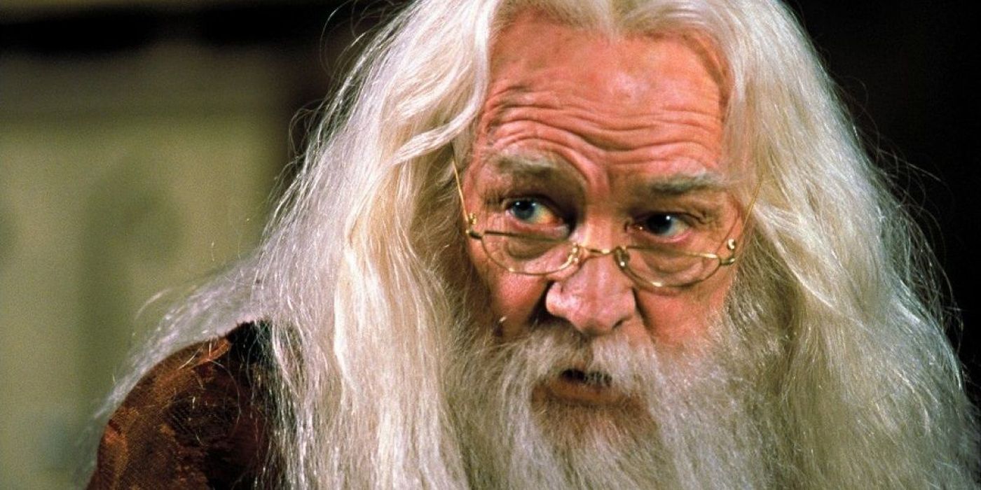 El hijo del actor original de Harry Potter que interpretó a Dumbledore reacciona al próximo programa de televisión: “¿Por qué hacerlo?”