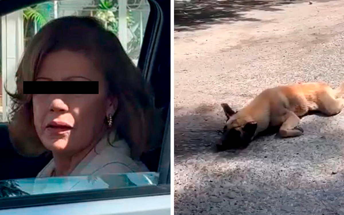 Video | Mujer arrastra a perro con su camioneta en Jalisco; ‘me rayó mi camioneta’, justifica