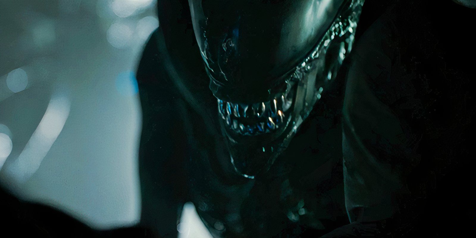 La secuela de Alien logra un éxito de transmisión después de una recaudación de taquilla de $ 350 millones