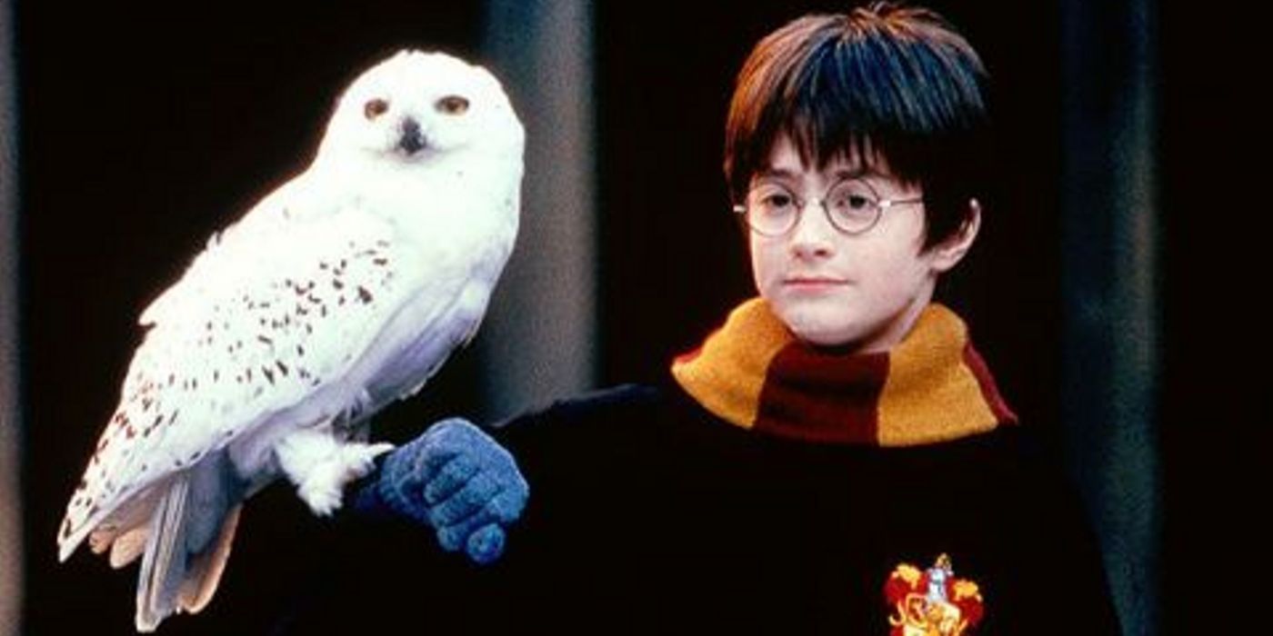 El remake televisivo de Harry Potter debería finalmente crear 2 de los spin-offs más demandados de la franquicia