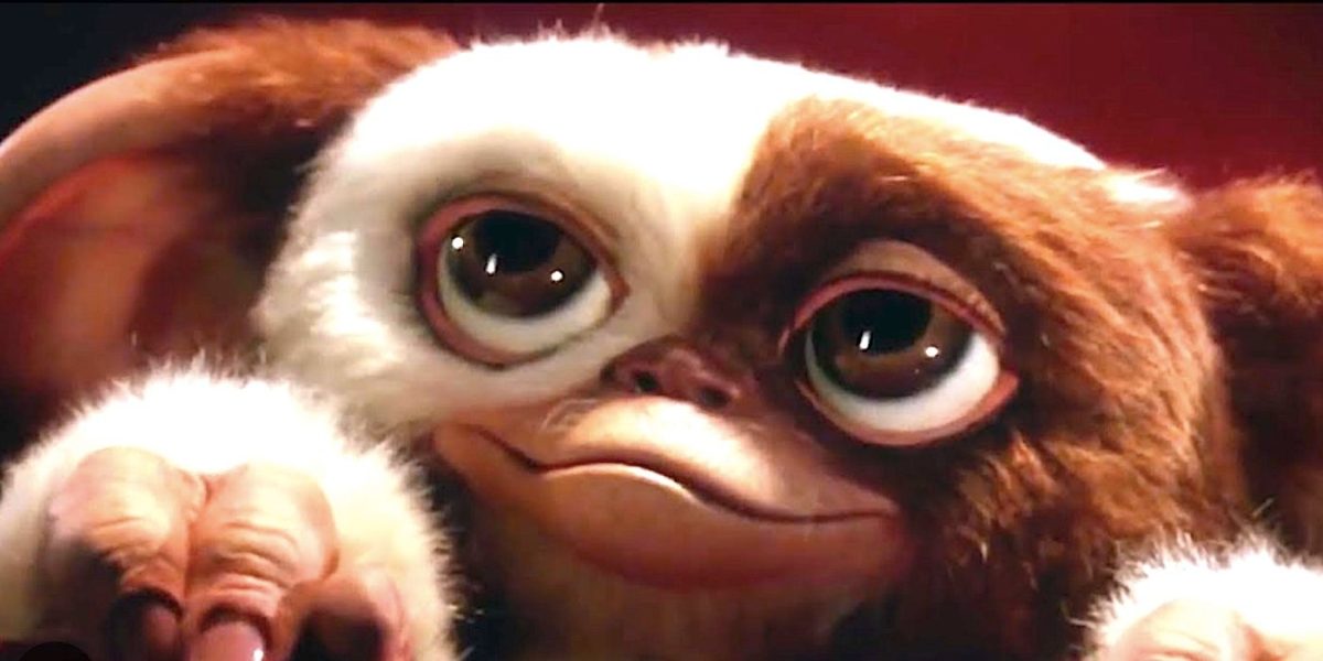 Gremlins: Explicación de por qué Gizmo es el único Mogwai bueno