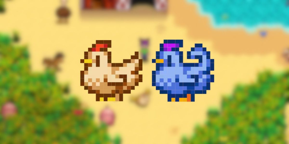 Cómo desbloquear pollos azules en Stardew Valley